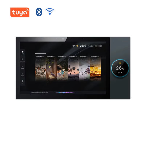 10-Inch IPS Screen Android Music Host Touch Screen Multi-Function Wall-Mounted Central Controller Two Zones Tuya Smart App Home